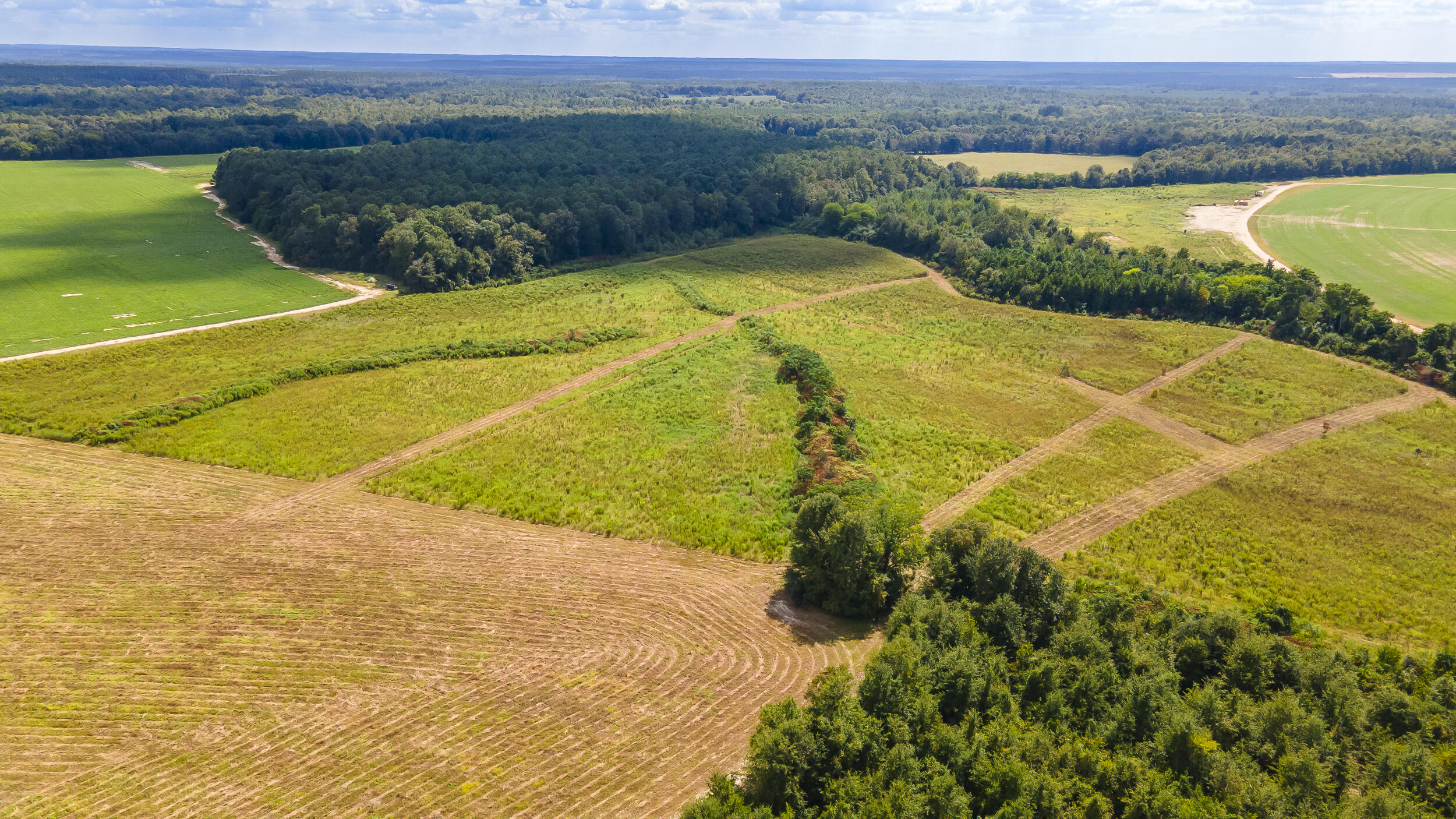 Lot 4 Union Academy Road Salley, SC 29137 - Photo 4 of 12