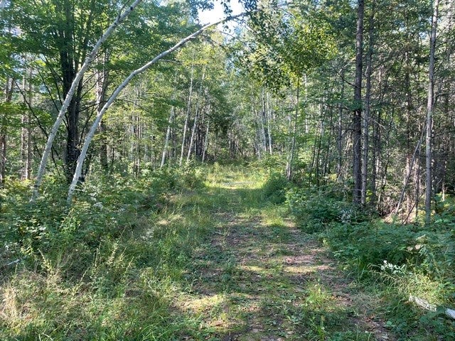 0 Mack Lake Road Trego, WI 54888 - Photo 6 of 26 Gallery Image 6