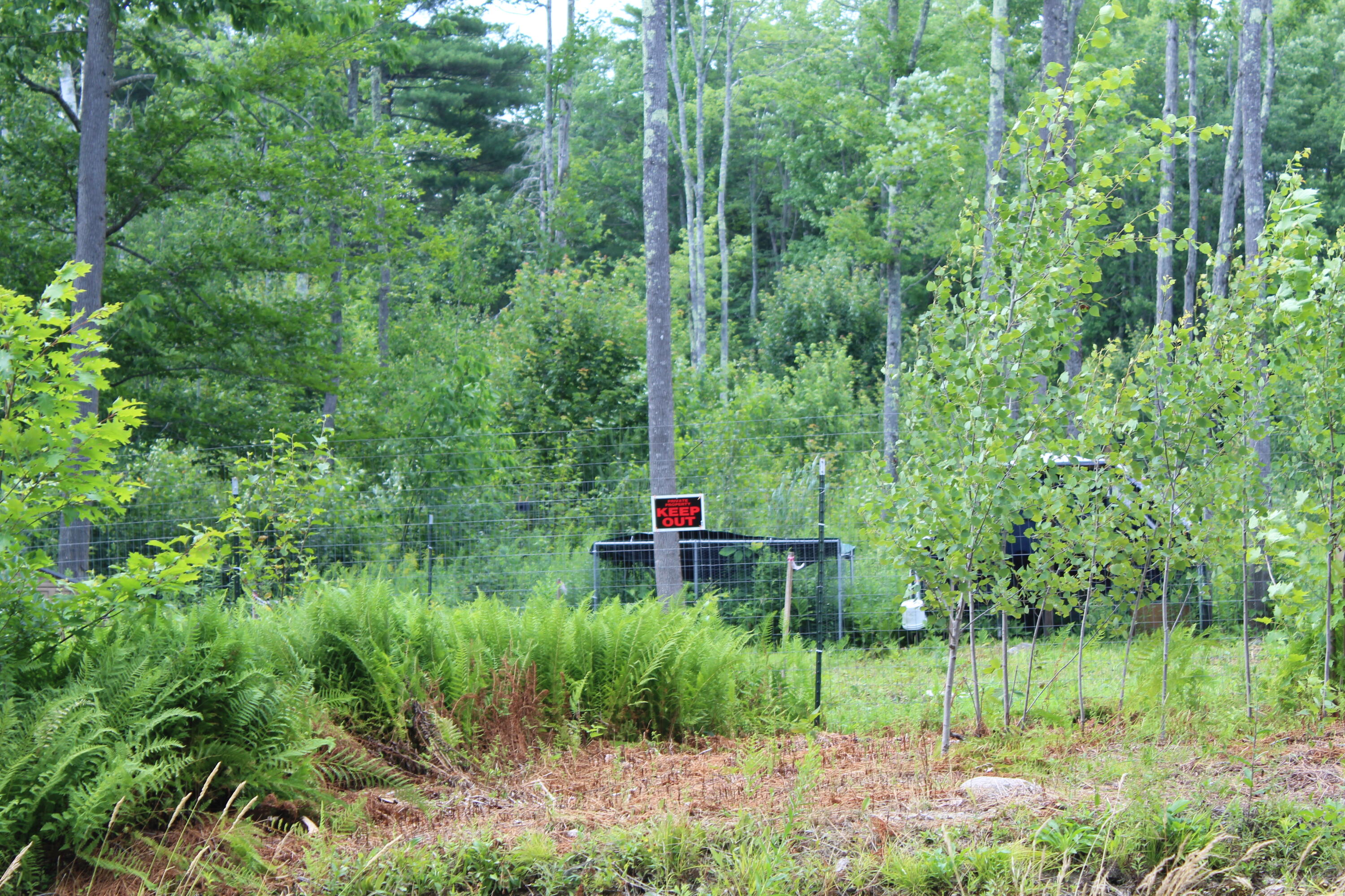 141 Marsh Road Belfast, ME 04915 - Photo 7 of 7 IMG_0798
