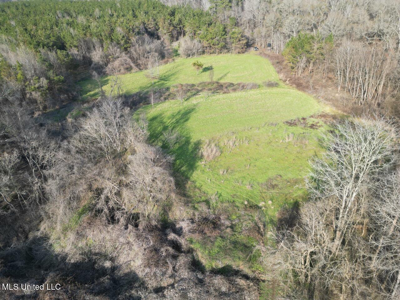 1004 Joe Good Road Lorman, MS 39096 - Photo 12 of 57 DJI_0264 Large