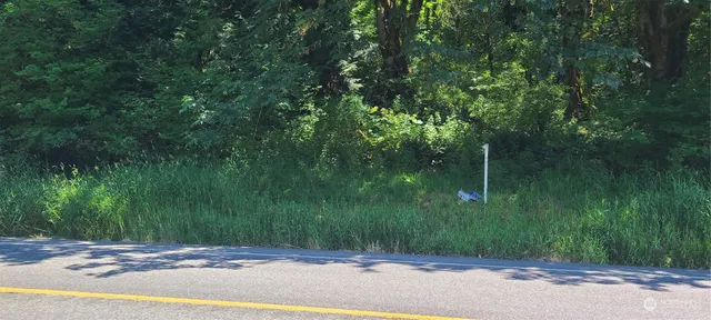 $65,000 | 999999 Sr Highway, Quilcene, WA 98376