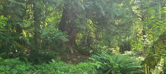 $65,000 | 999999 Sr Highway, Quilcene, WA 98376