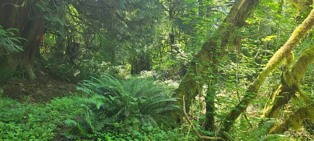 $65,000 | 999999 Sr Highway, Quilcene, WA 98376