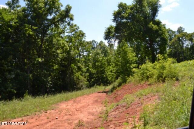 2390 Pea Ridge Fire Tower Road Celina, TN 38551 - Photo 53 of 58 DSC_0149