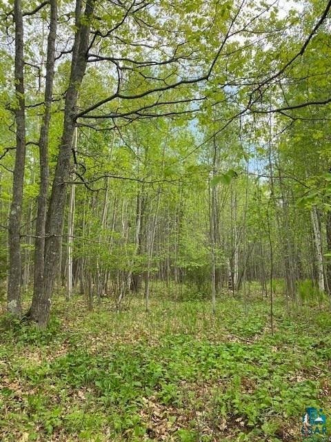 Xxxx Beeksma Road Herbster, WI 54844 - Photo 2 of 6