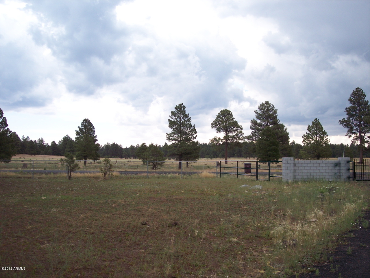 565 Homestead Road Flagstaff, AZ 86005 - Photo 24 of 24 National Forest Across street