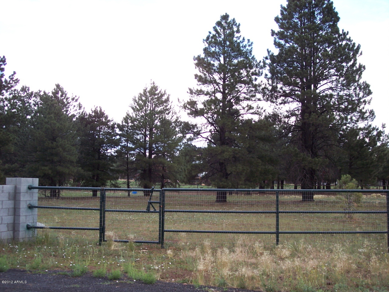 565 Homestead Road Flagstaff, AZ 86005 - Photo 5 of 24 right side on yard