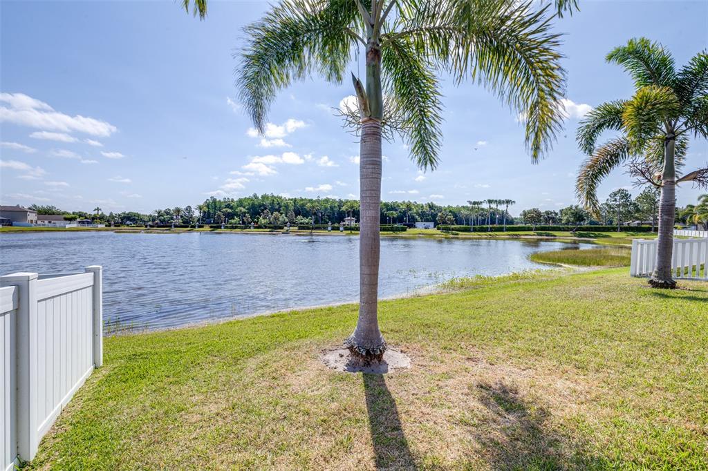 1762 Hadden Hall Place Trinity, FL 34655 - Photo 39 of 49 a view of a lake with houses in the back