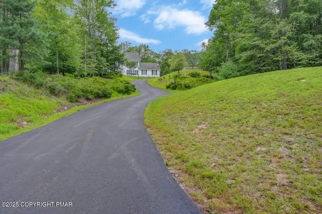 a view of a yard with potted plants
