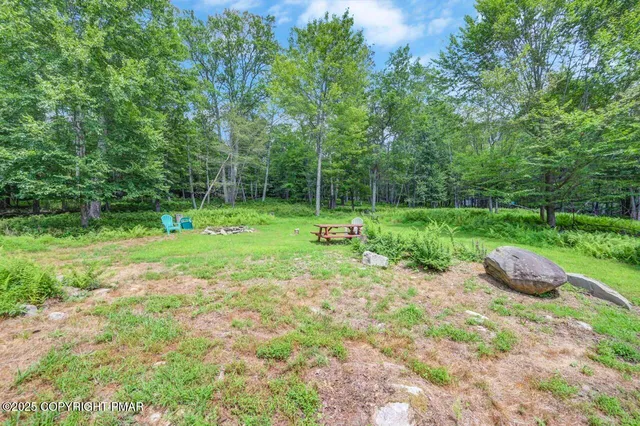 a view of a park with a tree