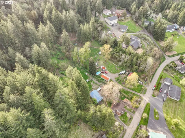 a picture of flowers