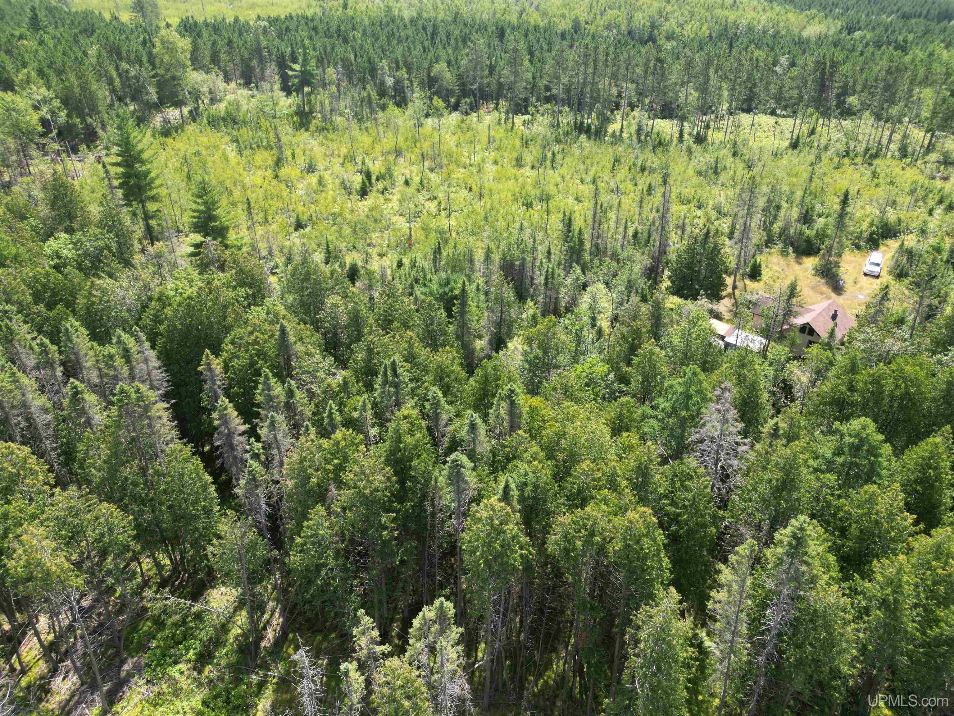 1 Gustafson Road Vulcan, MI 49892 - Photo 46 of 55