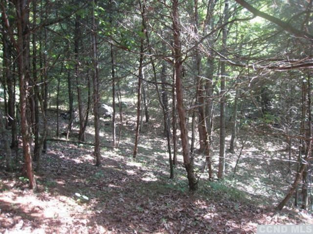 0 Bathrick Farm Road Red Hook, NY 12571 - Photo 7 of 10 Photo 7