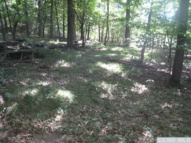 0 Bathrick Farm Road Red Hook, NY 12571 - Photo 8 of 10 Photo 8