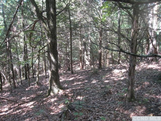 0 Bathrick Farm Road Red Hook, NY 12571 - Photo 9 of 10 Photo 9