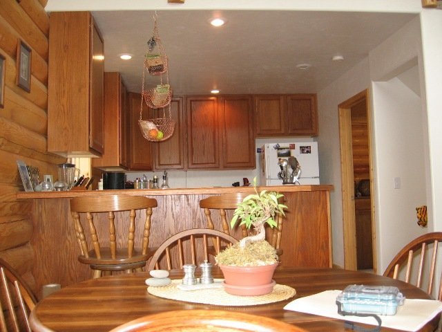 146 Alpine Lane Ridgway, CO 81432 - Photo 5 of 9 Additional Photo