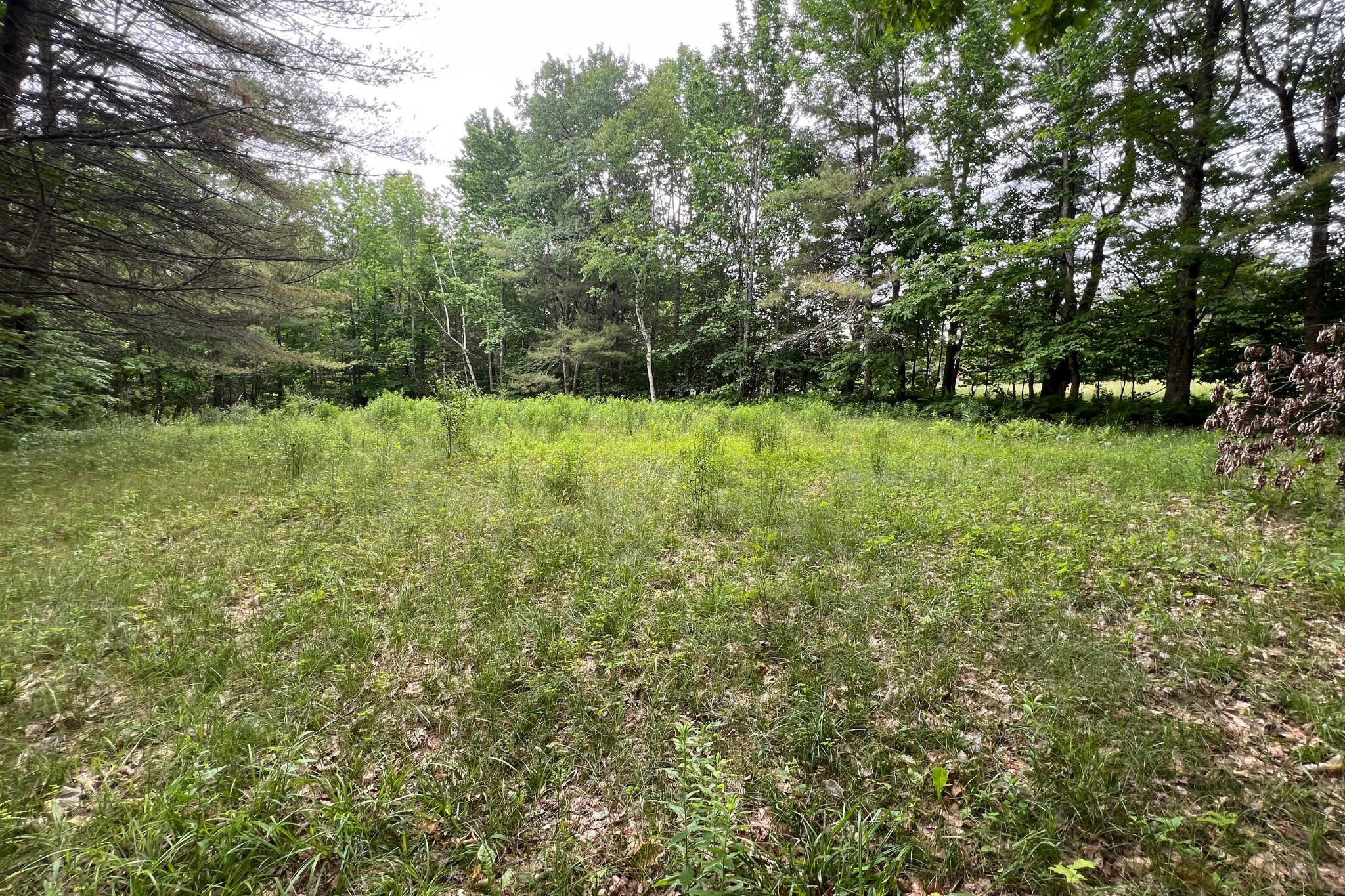 Lotr11-25c Hallowell Road Litchfield, ME 04350 - Photo 4 of 9 Potential Building Area #1