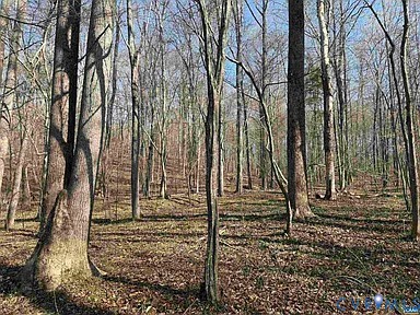 0 Paynes Pond Road Scottsville, VA 24590 - Photo 31 of 44