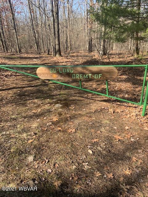 Boone Road, Unit 3 Cross Fork, PA 17729 - Photo 1 of 12 Gallery Image 1