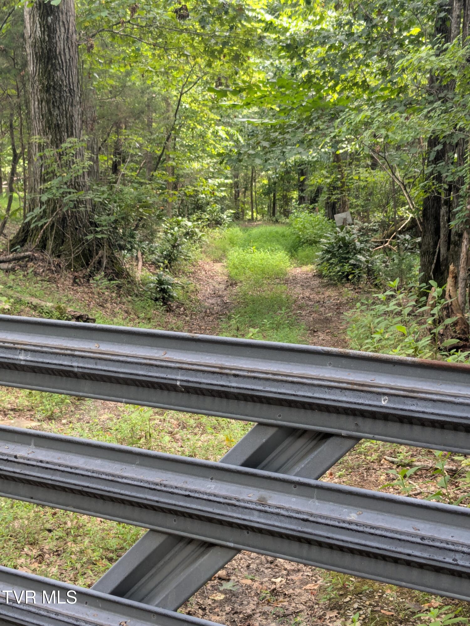412 Haw Ridge East Piney Flats, TN 37686 - Photo 33 of 36 PXL_20250801_164017791