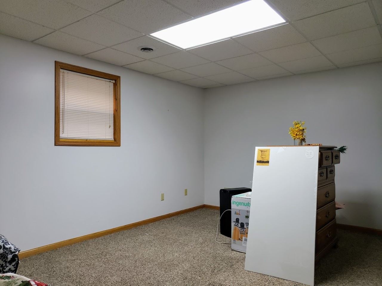 1258 Cheesman Road St. Louis, MI 48880 - Photo 30 of 49 1879511-29.JPG