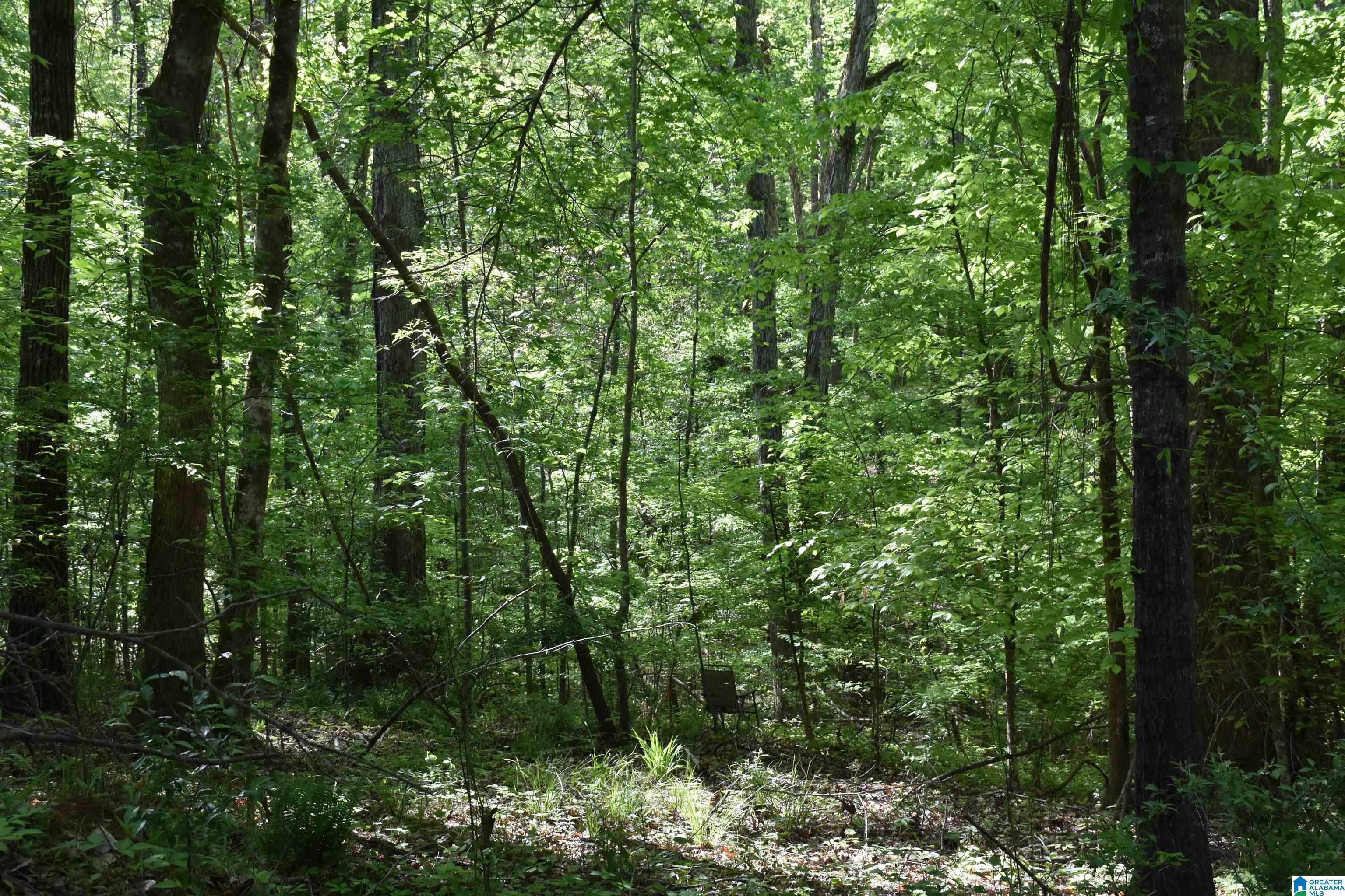 85 Moon Road Kellyton, AL 35089 - Photo 29 of 29