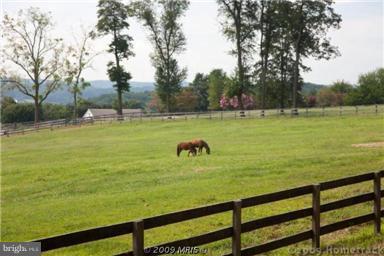 2700 Butler Road Glyndon, MD 21136 - Photo 14 of 27 View