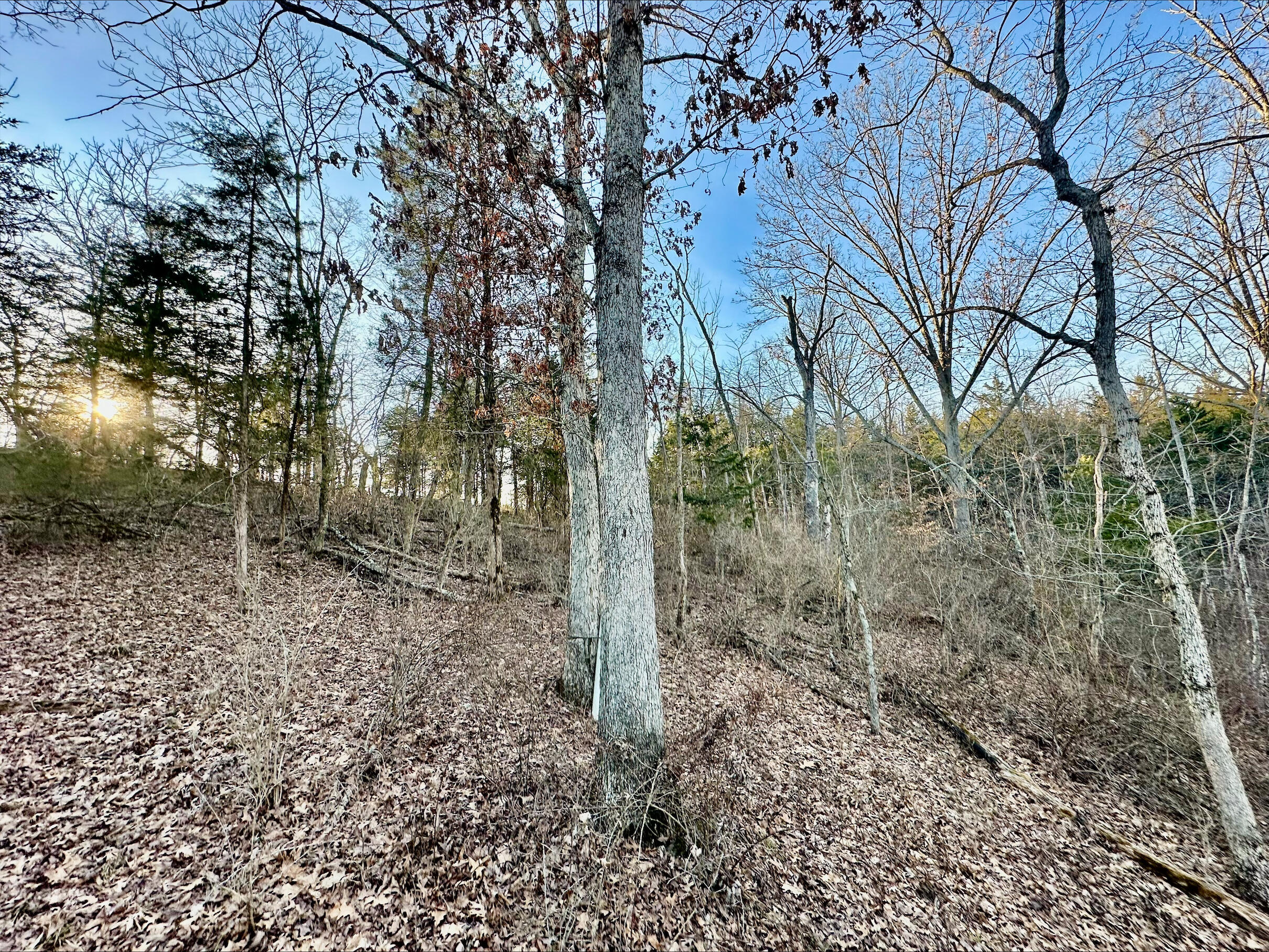 13489 Peach Grove Road California, KY 41007 - Photo 40 of 50 Gallery Image 40