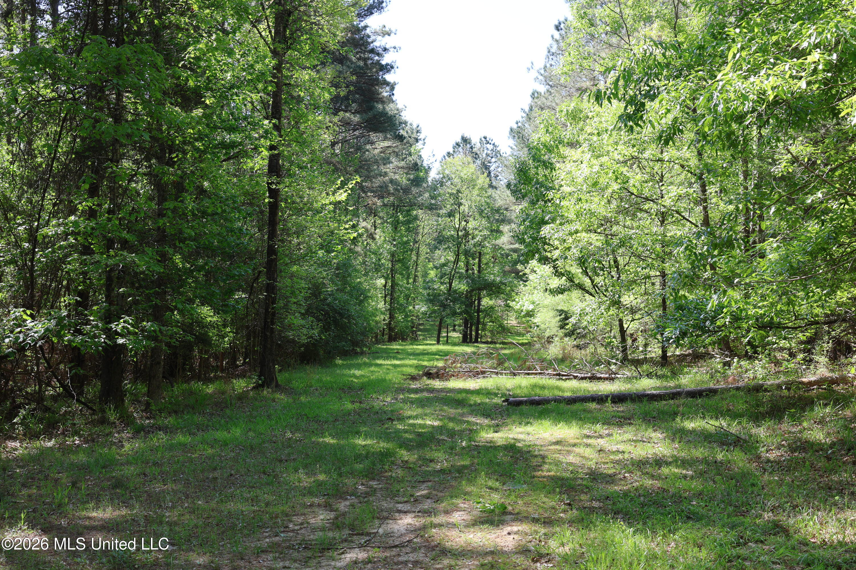 1060 Pearline Bailey Rd Port Port Gibson, MS 39150 - Photo 25 of 63 9DEE786A-E6F7-4800-B4FF-C2B6604E7E79