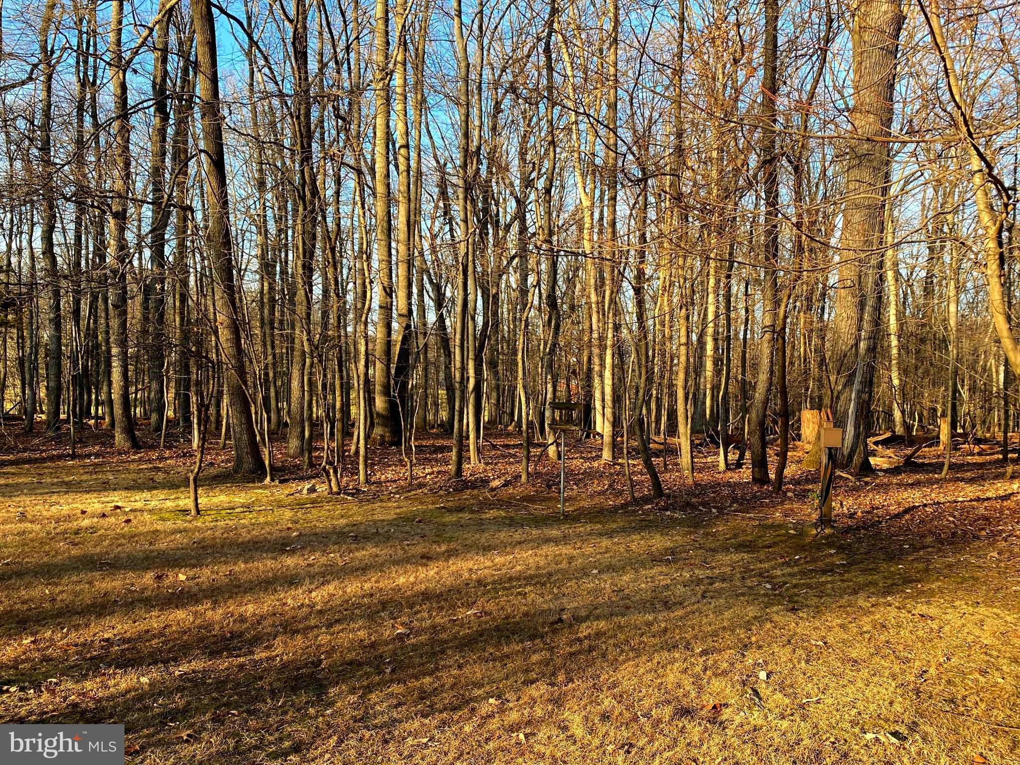 17740 Hardy Road Mount Airy, MD 21771 - Photo 16 of 71 Gallery Image 16