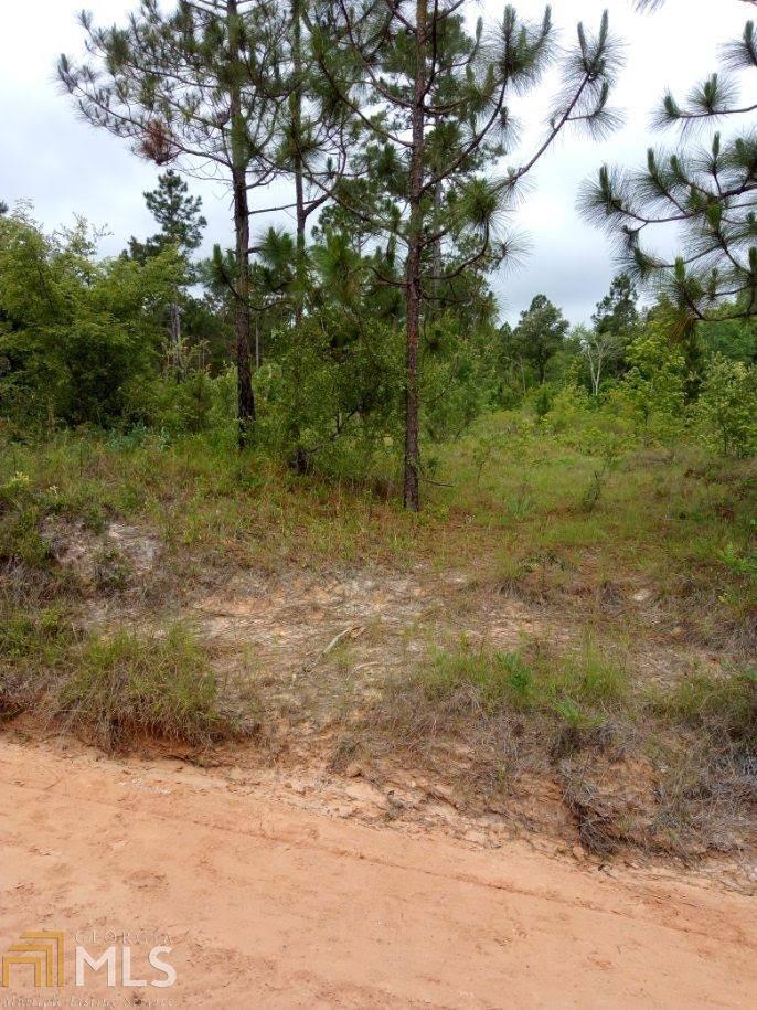 0 Bill Glenn Road Swainsboro, GA 30401 - Photo 2 of 4