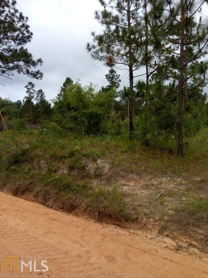 0 Bill Glenn Road Swainsboro, GA 30401 - Photo 4 of 4