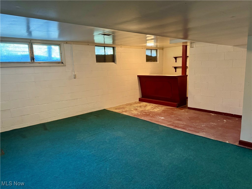 10050 New Buffalo Road Canfield, OH 44406 - Photo 37 of 49 Basement featuring carpet floors