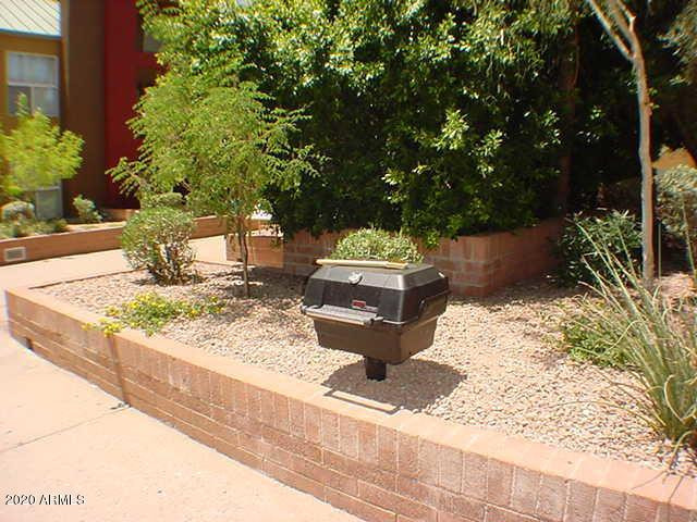 154 West 5th Street, Unit 233 Tempe, AZ 85281 - Photo 25 of 29 a view of a yard with plants