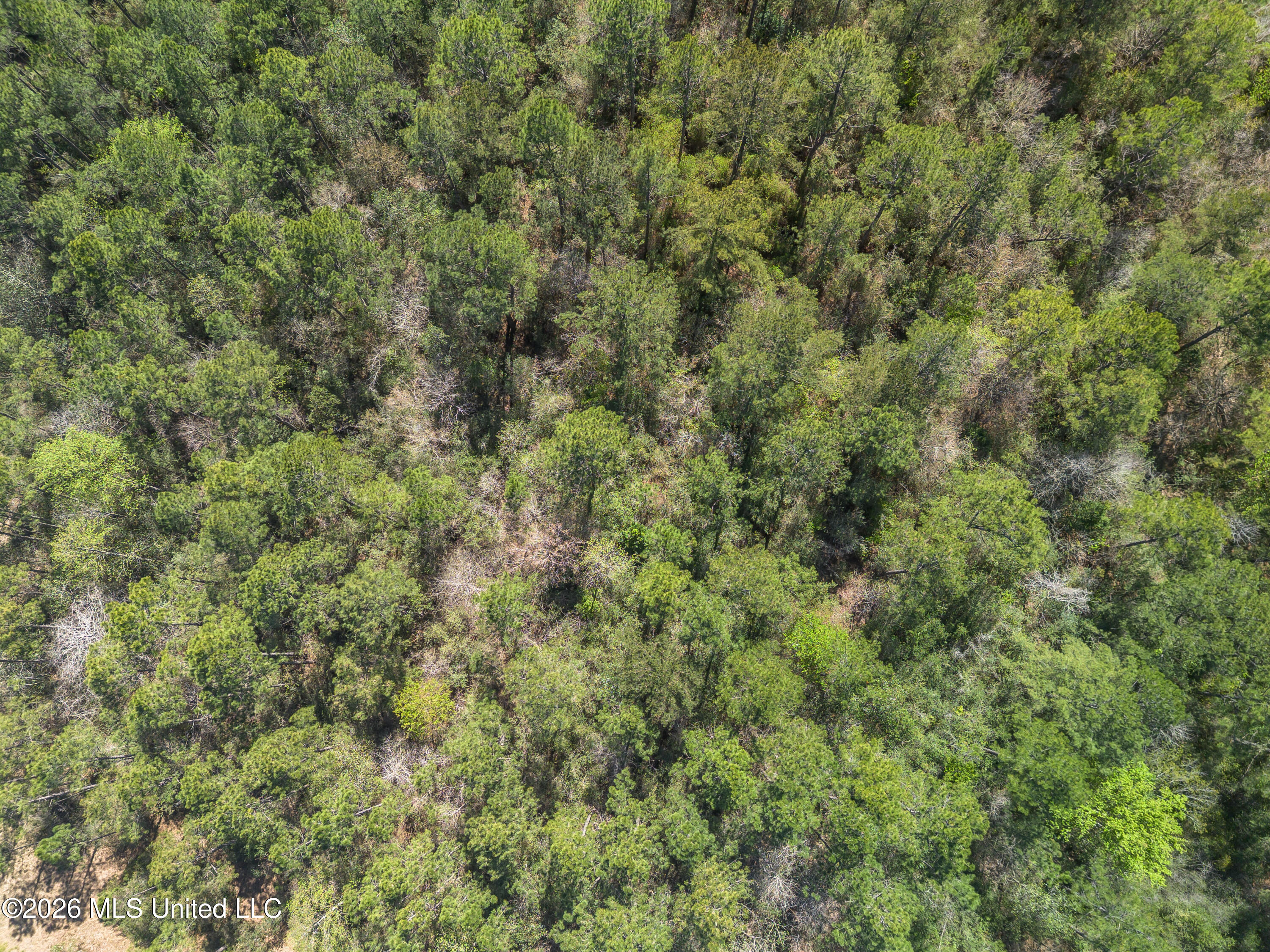 0 Tim Bradley Road Saucier, MS 39574 - Photo 14 of 30 DJI_0317