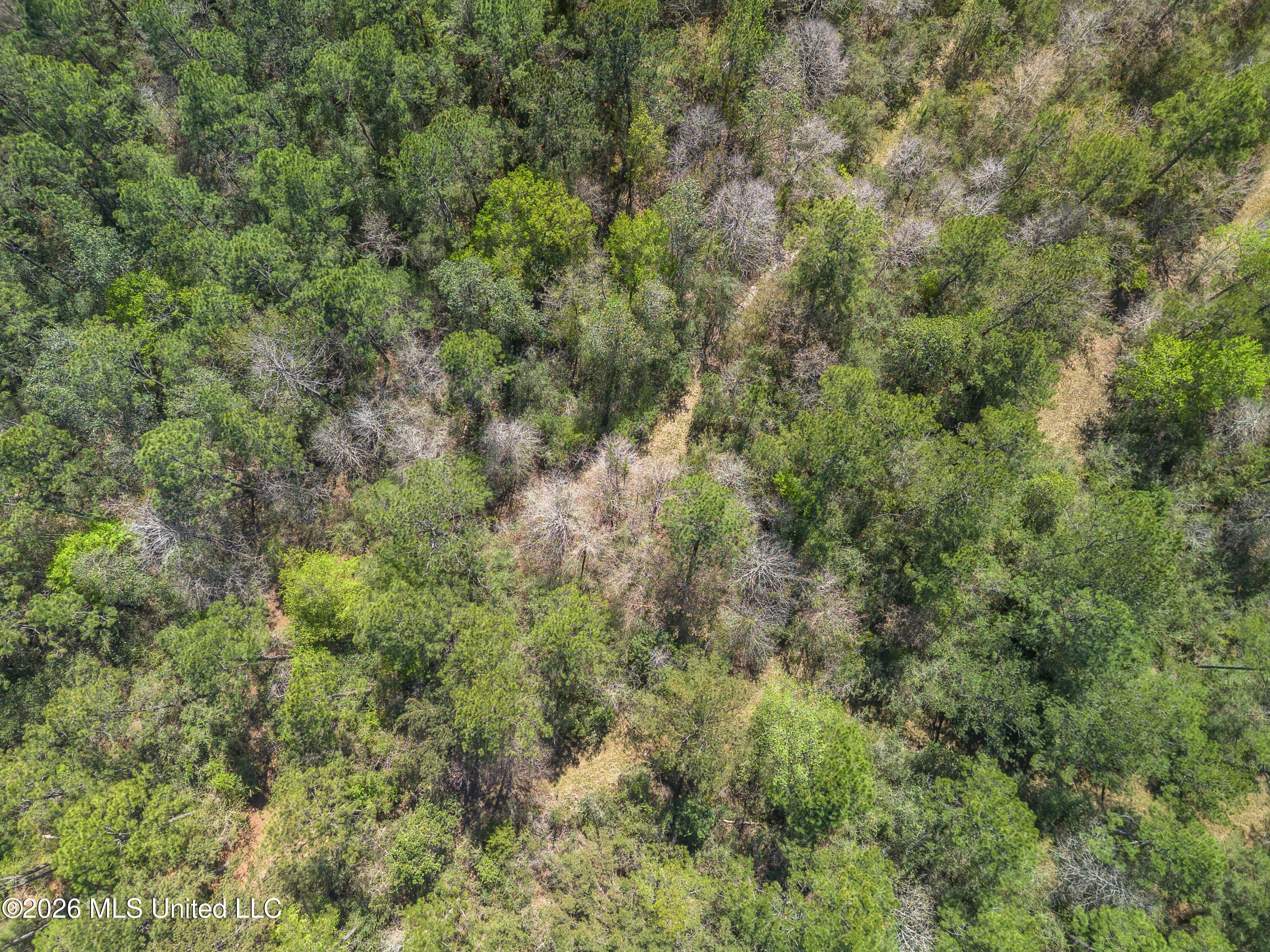 0 Tim Bradley Road Saucier, MS 39574 - Photo 15 of 30 DJI_0318