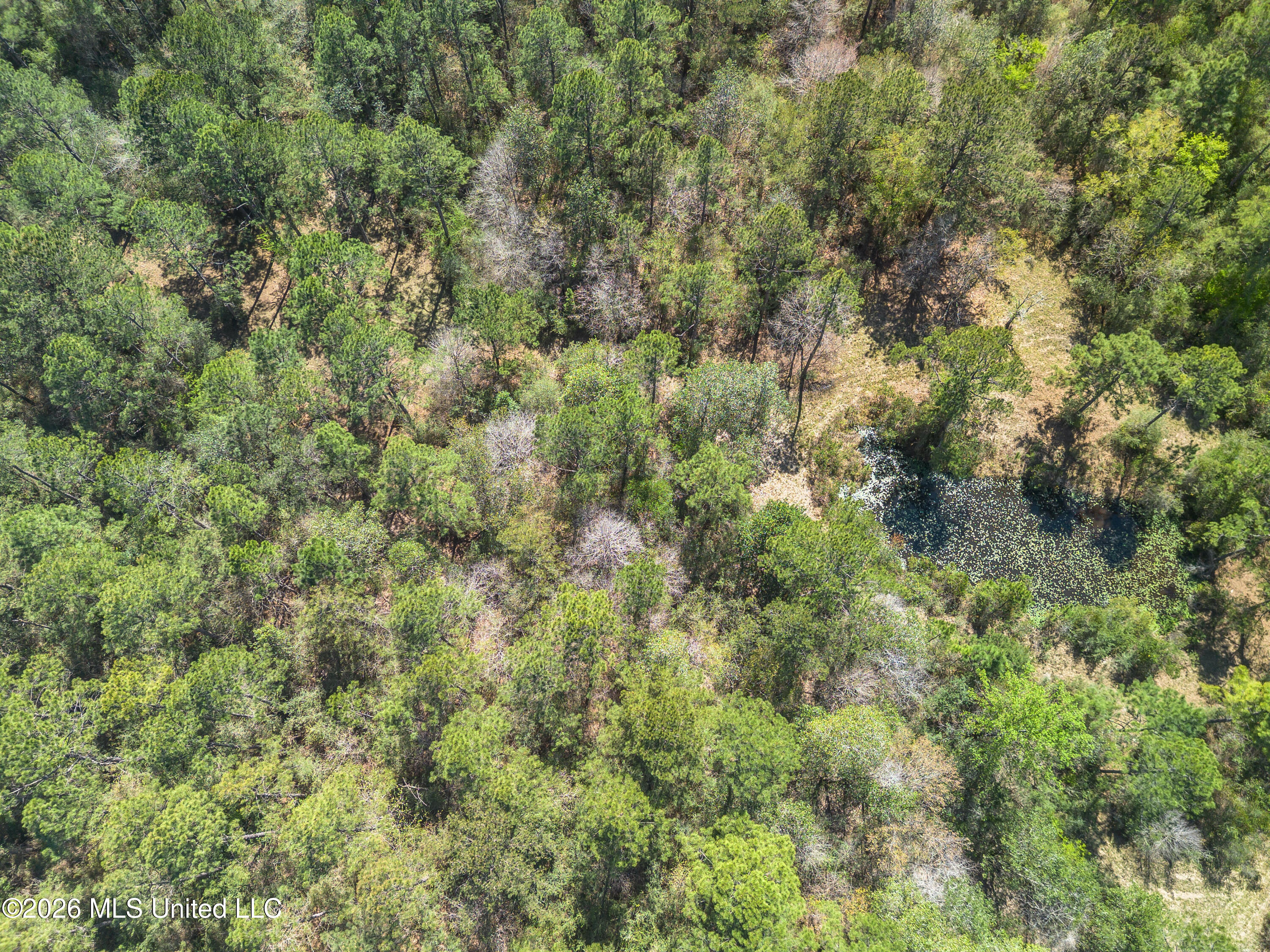 0 Tim Bradley Road Saucier, MS 39574 - Photo 16 of 30 DJI_0319