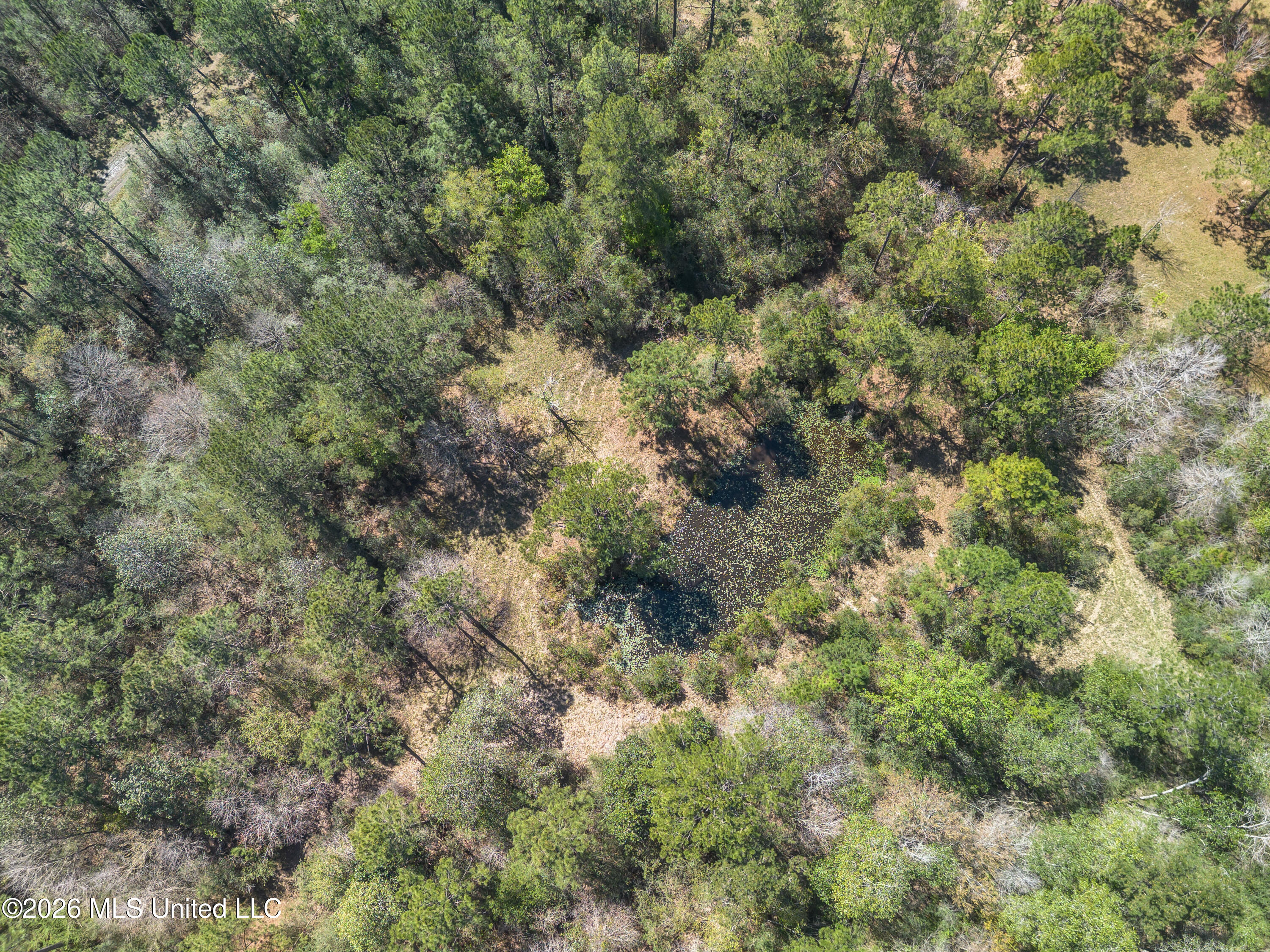 0 Tim Bradley Road Saucier, MS 39574 - Photo 17 of 30 DJI_0320