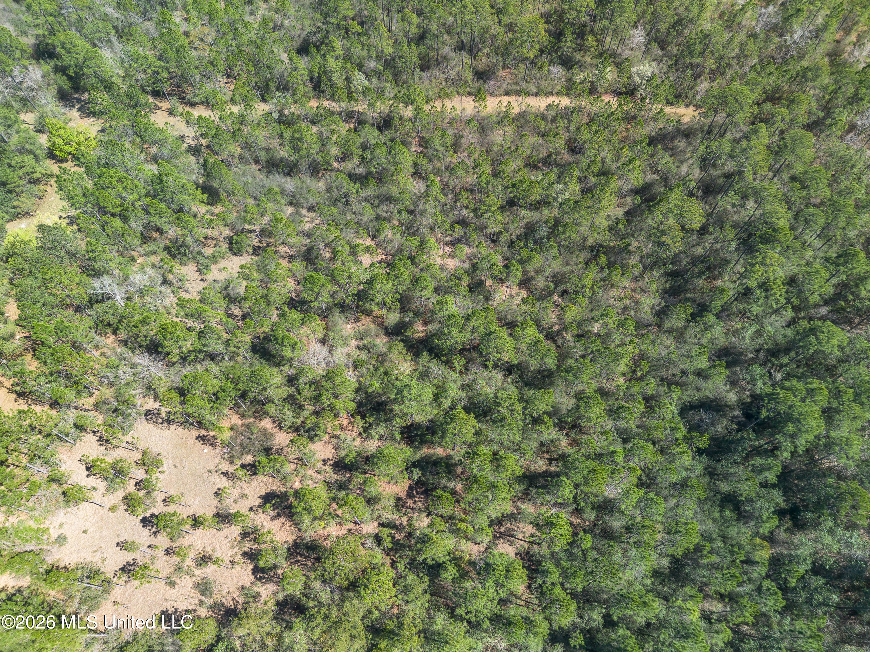 0 Tim Bradley Road Saucier, MS 39574 - Photo 21 of 30 DJI_0324