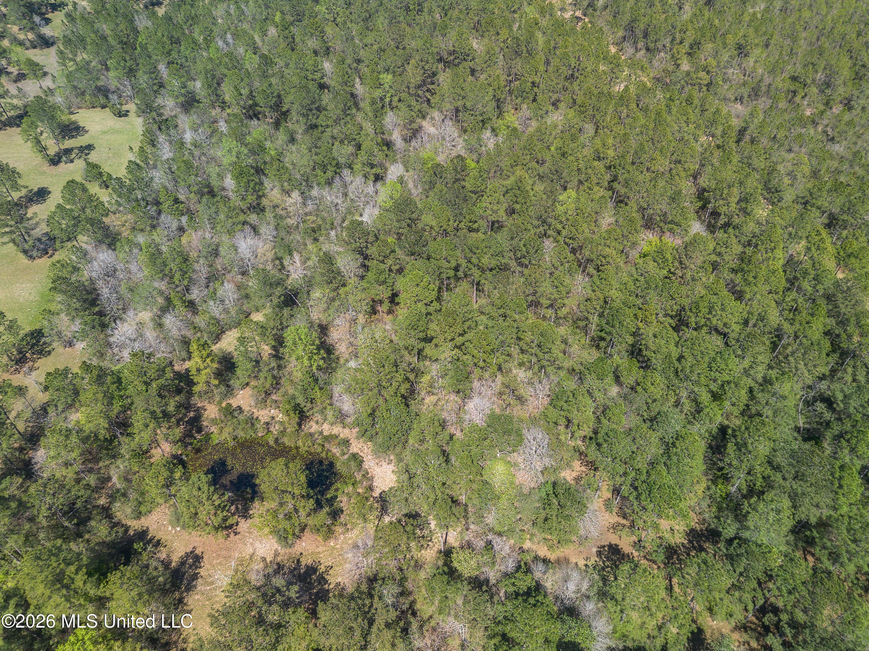 0 Tim Bradley Road Saucier, MS 39574 - Photo 29 of 30 DJI_0334