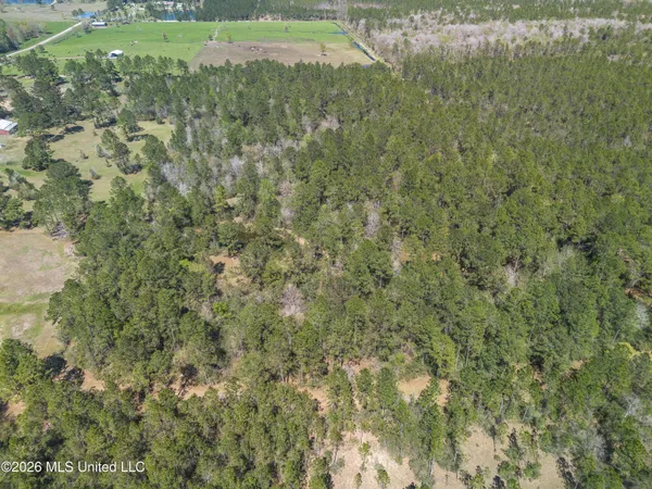 $199,590 | 0 Tim Bradley Road, Saucier, MS 39574