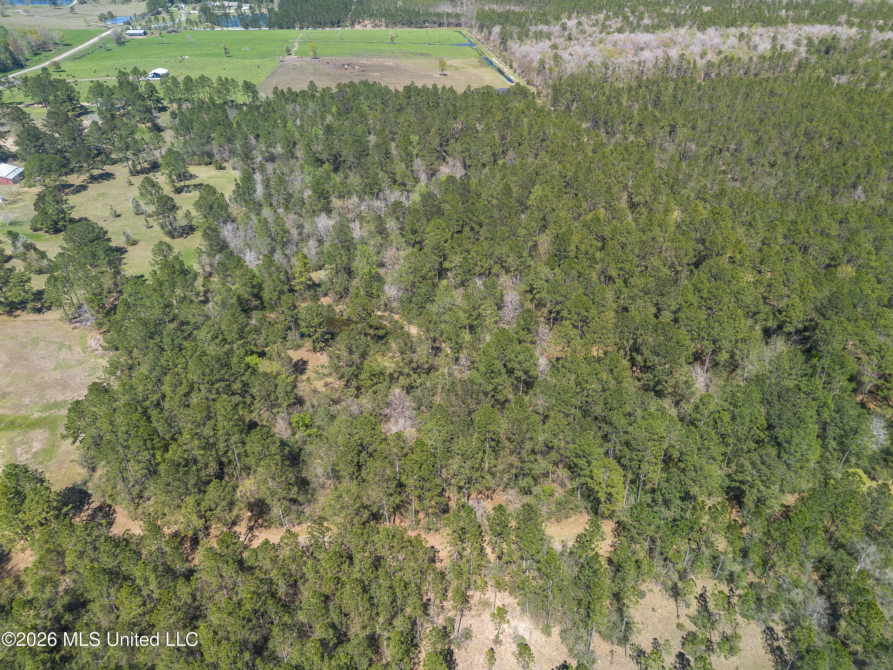 0 Tim Bradley Road Saucier, MS 39574 - Photo 6 of 30 DJI_0333