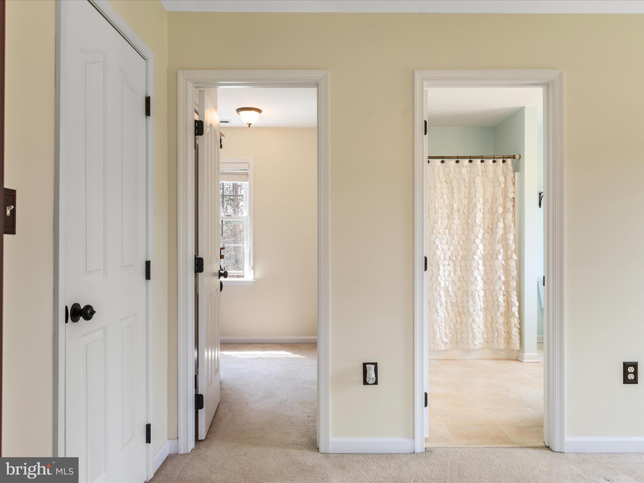 355 Fishel Road Winchester, VA 22602 - Photo 42 of 74 Hallway