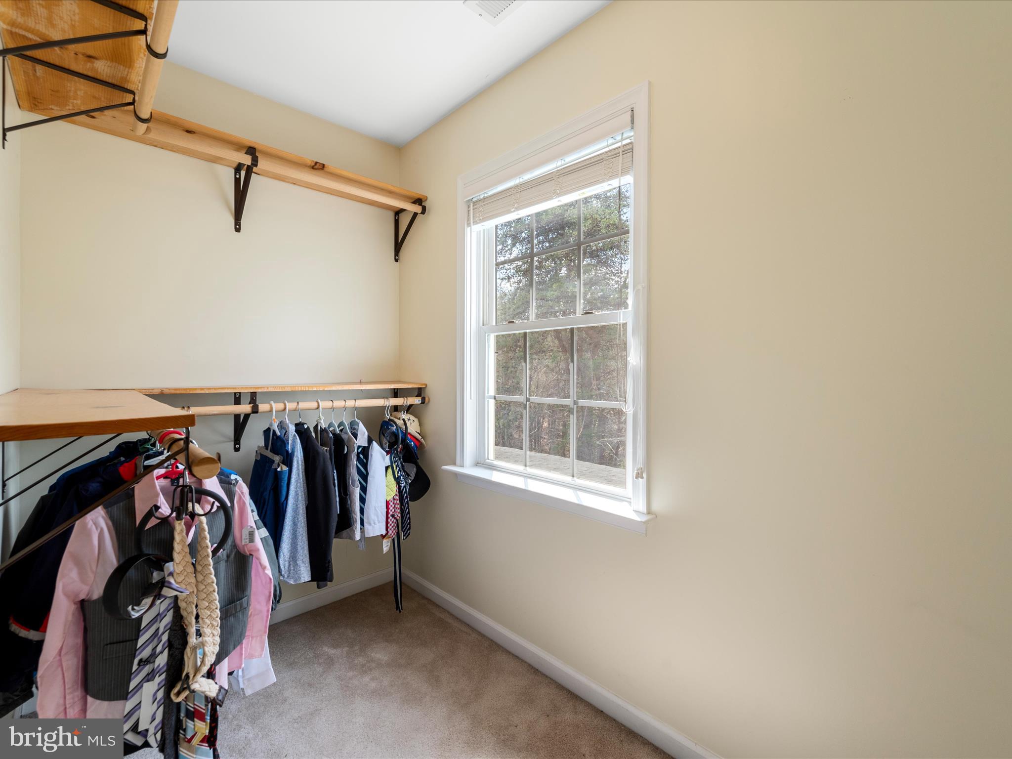 355 Fishel Road Winchester, VA 22602 - Photo 43 of 74 Closet