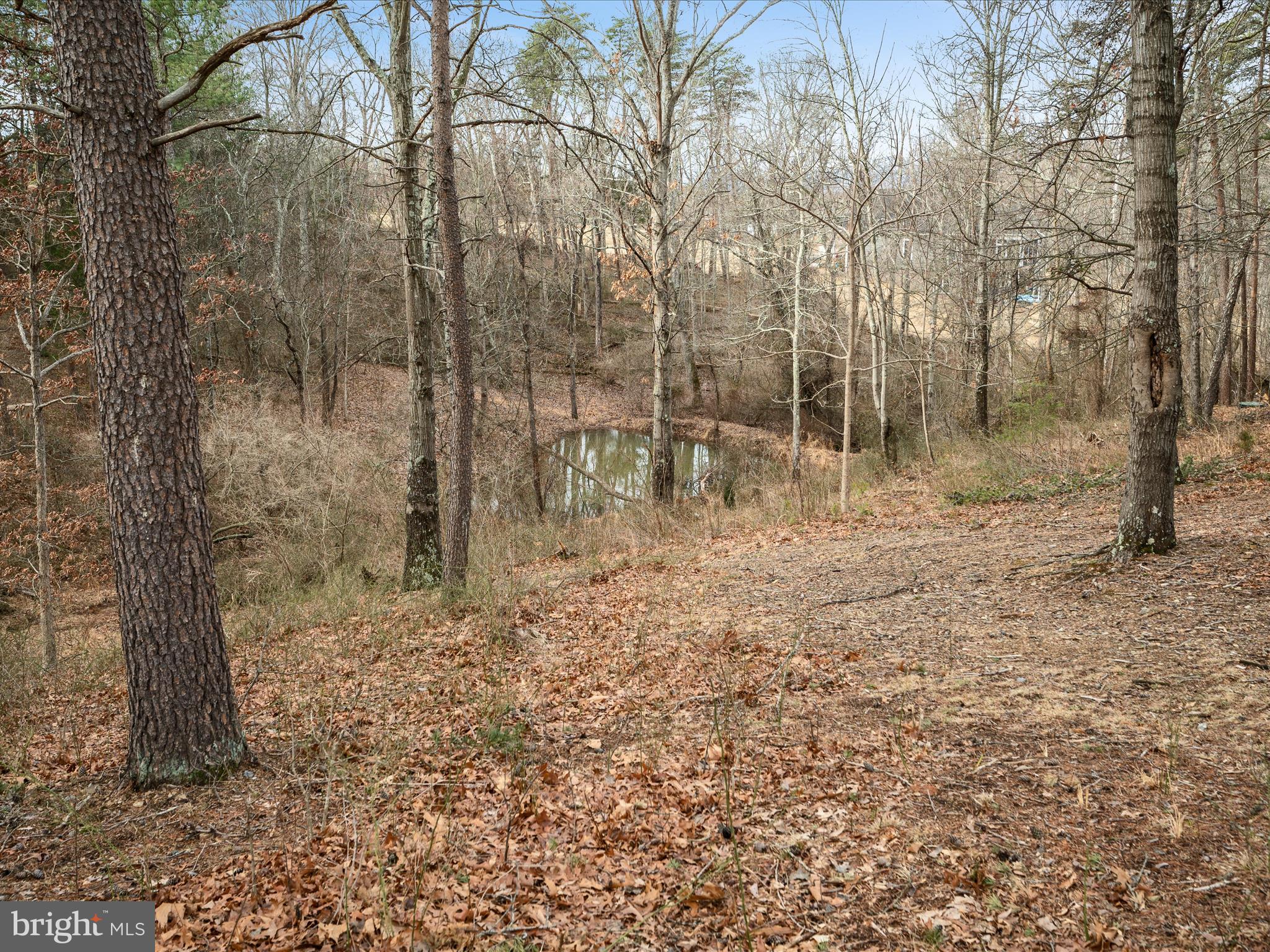 355 Fishel Road Winchester, VA 22602 - Photo 67 of 74 Pond