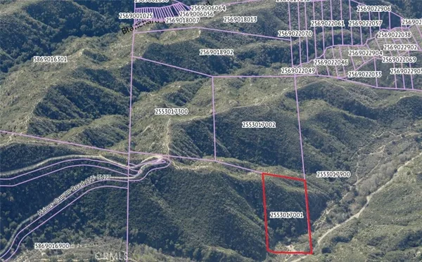 $1,000 | 0 Haines Canyon Avenue, Tujunga, CA 91042