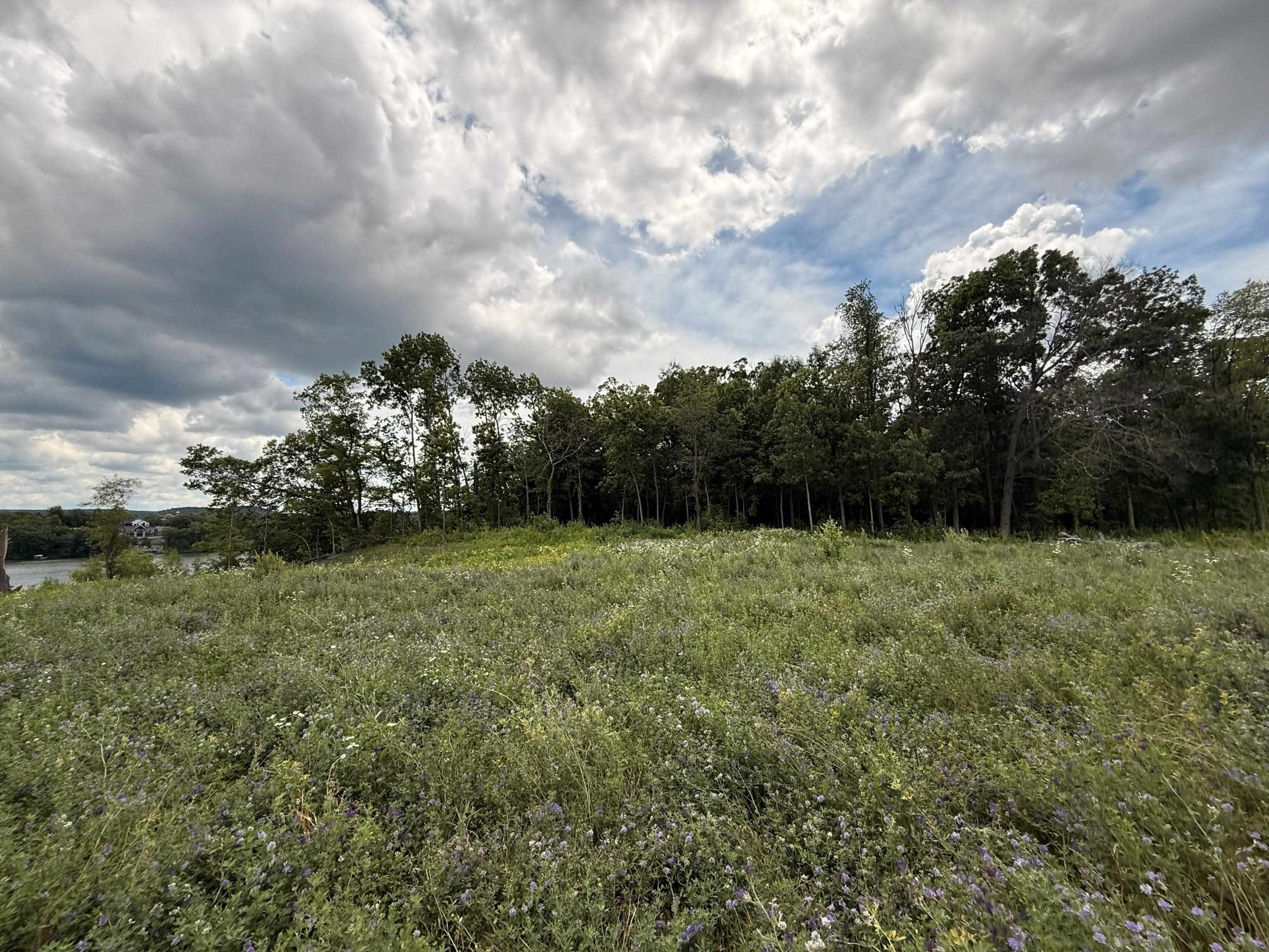 Lot 18 Lakestone Merrimac, WI 53561 - Photo 4 of 42