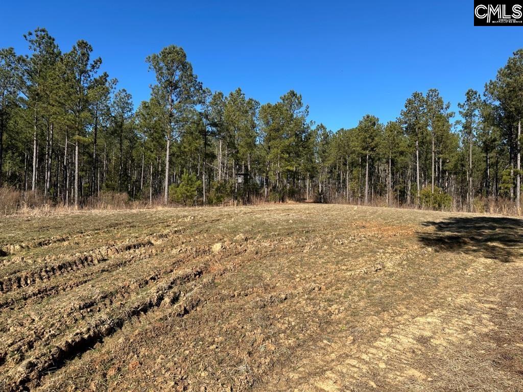 River Road Winnsboro, SC 29180 - Photo 17 of 20