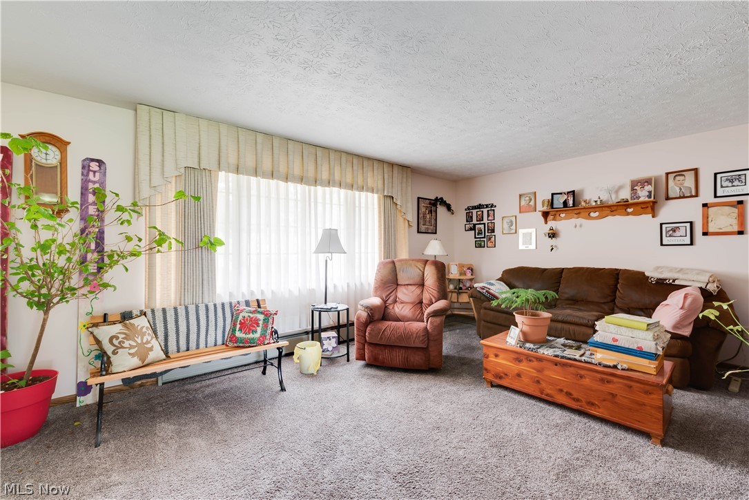 7106 Lardon Road Malvern, OH 44644 - Photo 3 of 24 Gallery Image 3