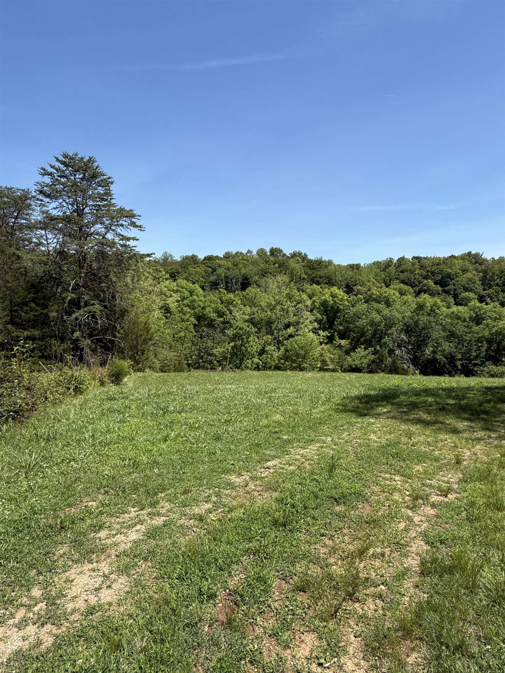 Powells Island Road Arrington, VA 22922 - Photo 10 of 10 Field and Woods